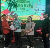 Cirebon Agro Expo 2024: Mangga Roman Ayu Siap Jadi Komoditas Unggulan